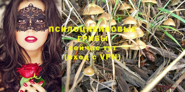кристаллы Богданович