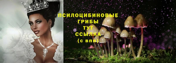 дурь Богородск