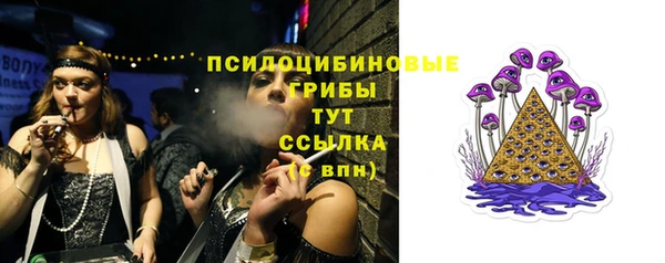 MDMA Premium VHQ Богородицк